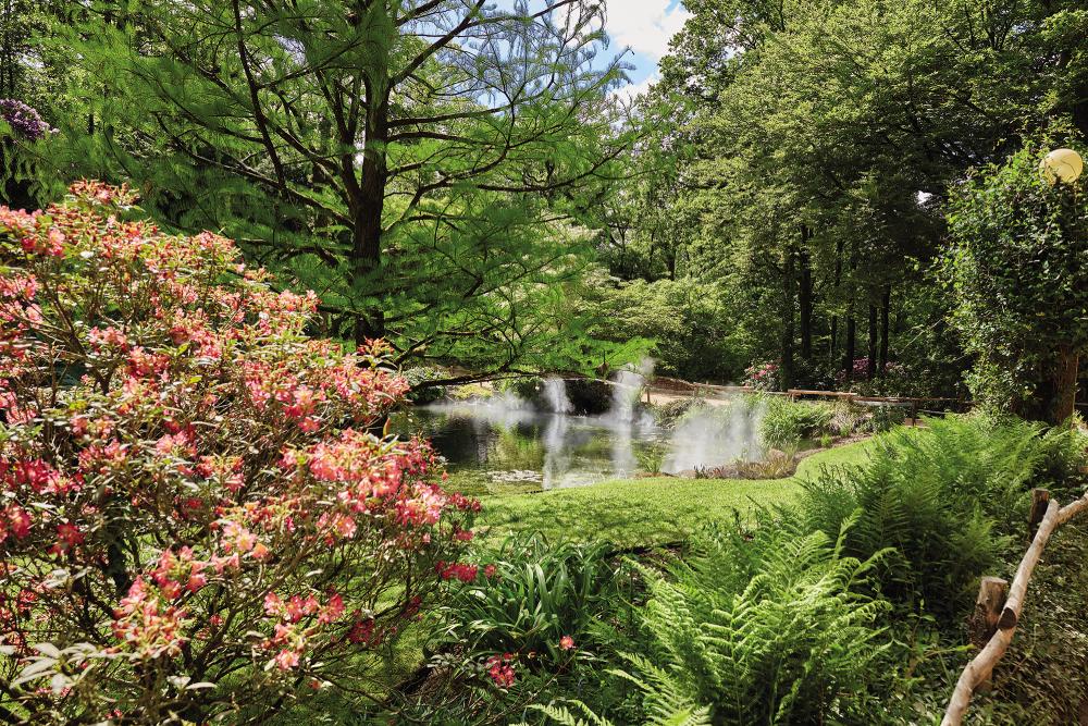 Photo du "Val de la Marienne" fleuri avec une cascade d'eau au printemps au Puy du Fou
