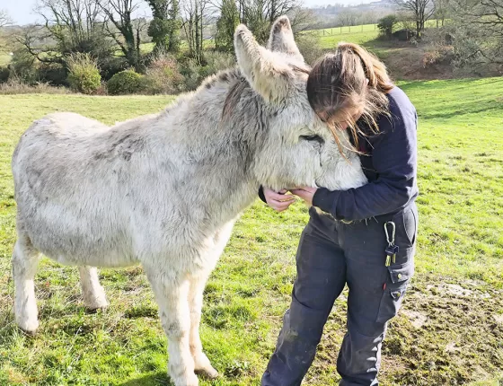 Soigneur et un animal du Puy du Fou