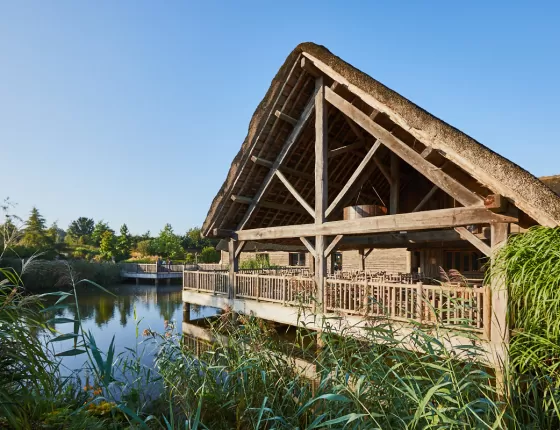 Un week-end pas cher entre amis au Puy du Fou !