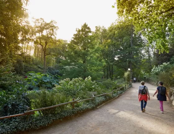 Visiteurs du Puy du Fou se promenant dans la forêt du parc