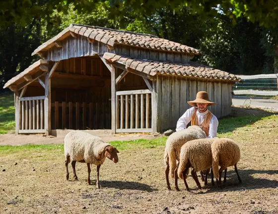 Les animaux du Puy du Fou