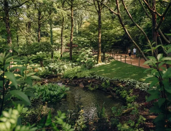 puy du fou dans la nature
