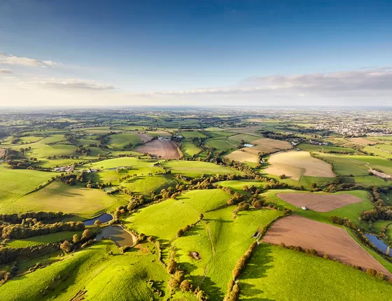 Vue aérienne du bocage vendéen.