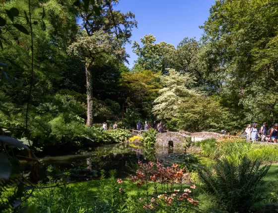 Nature au Puy du Fou 