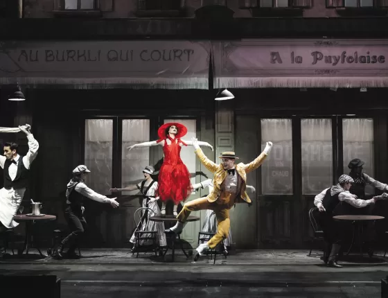 Spectacle " Le Mime et l'étoile" Au Puy du Fou