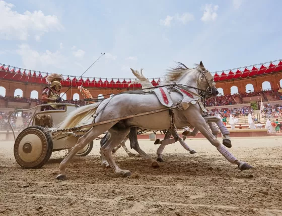 Course de char au spectacle "Le Signe du Triomphe" au Puy du Fou ; Crédit photo : Stéphane Audran