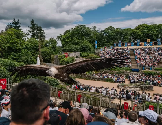 Vautour dans le spectacle "Le Bal des Oiseaux Fantômes" au Puy du Fou
