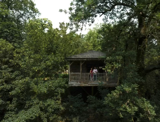 Cabane Insolite- header