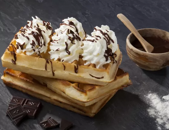 Peut-on pique-niquer au Puy du Fou ?