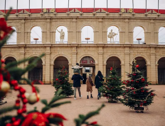 Le Mystère de Noël