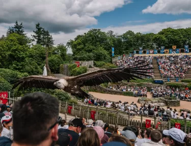 Un vautour survole le public de près dans le spectacle "Le Bal des Oiseaux Fantômes"