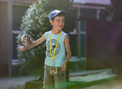 A child with a bird on their arm during the falconry workshop
