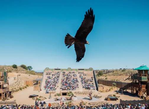 The Cetrería de Reyes show at Puy du Fou España