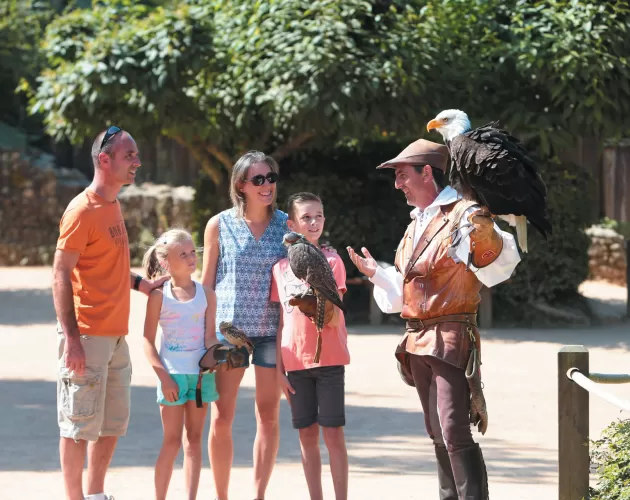 Ateliers Découvertes Puy du Fou