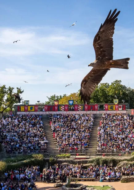 Bal des oiseaux fantômes Puy du Fou