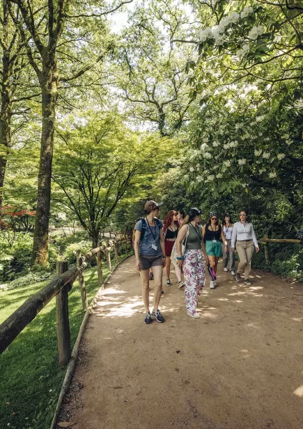 Groupe dans la nature