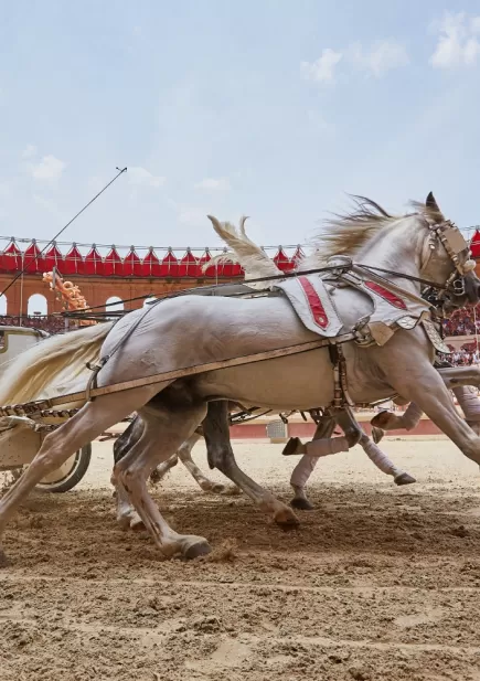 Course de char au spectacle "Le Signe du Triomphe" au Puy du Fou ; Crédit photo : Stéphane Audran