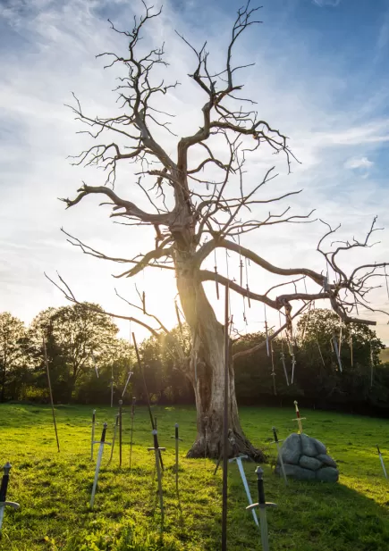 Arbre-épée-Exkalibur-Puy-du-Fou
