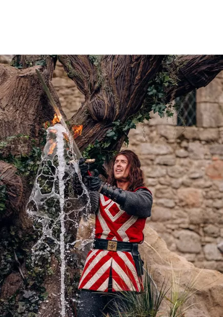 Picture of the King Arthur
