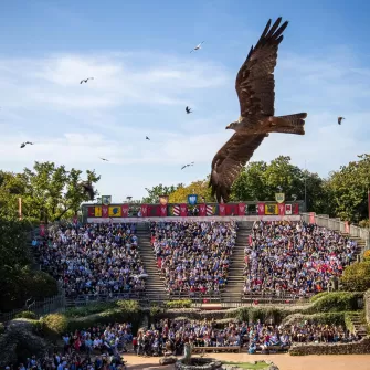 "Le Bal des Oiseaux Fantômes"