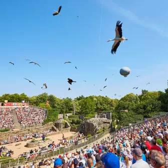 Le bal des oiseaux fantome 