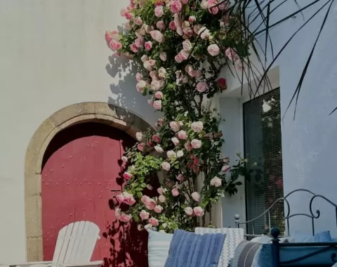 Gîte L'Appart, Le Relais du Puy - Saint-Fulgent - Terrasse