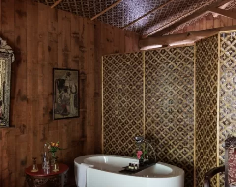 Cabane insolite - sdb