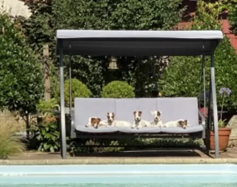 Gîte L'Appart, Le Relais du Puy - Saint-Fulgent - Piscine