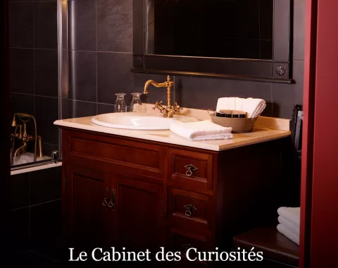 La salle d'eau de la suite "Le Cabinet des Curiosités" de L'hôtel "Le Logis de Lescure".
