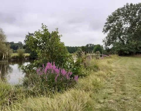 Domaine de la Sauzaie, Sèvremont