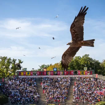 Les logements près du Puy du Fou