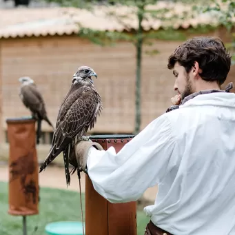 Académie de Fauconnerie du Puy du Fou