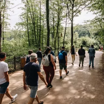 Venir en groupe cse puy du fou