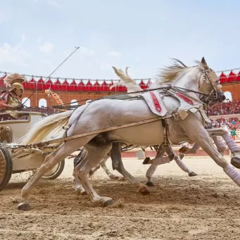 Course de char au Signe du Triomphe au Puy du Fou