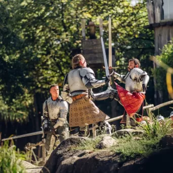 Chevaliers se battant autour d'un lac