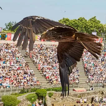 Le bal des oiseaux fantôme au Puy du Fou