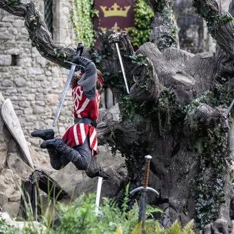 Tristan contre l'arbre aux épées dans le spectacle du Puy du Fou "L'Epée du Roi Arthur"
