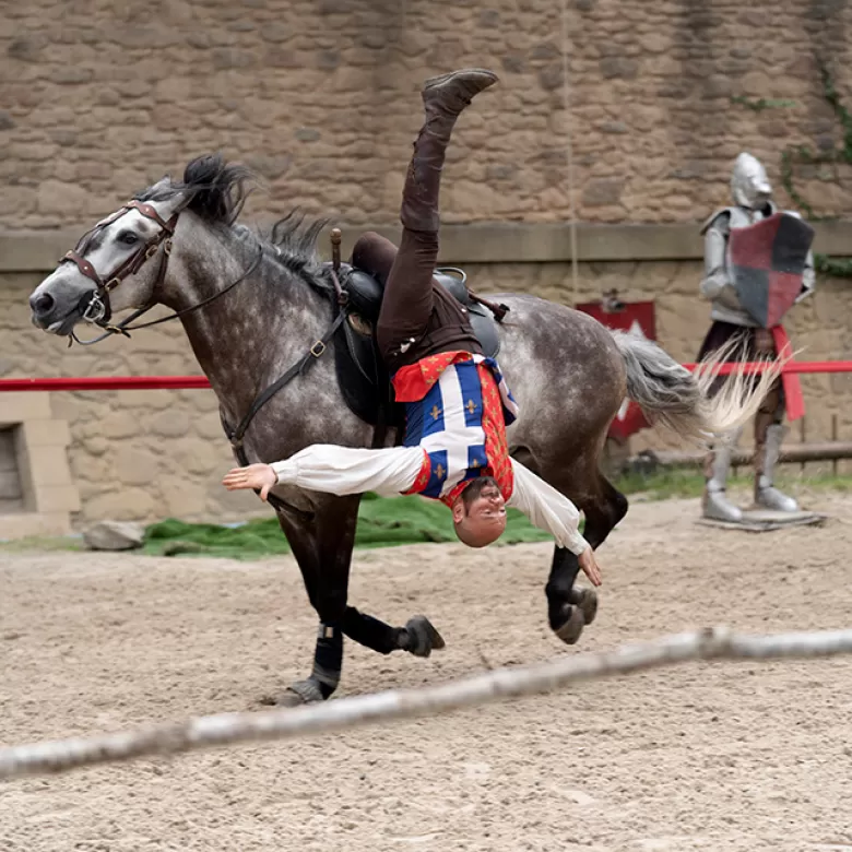 Cheval du Secret de la Lance pendant la voltige équestre du spectacle