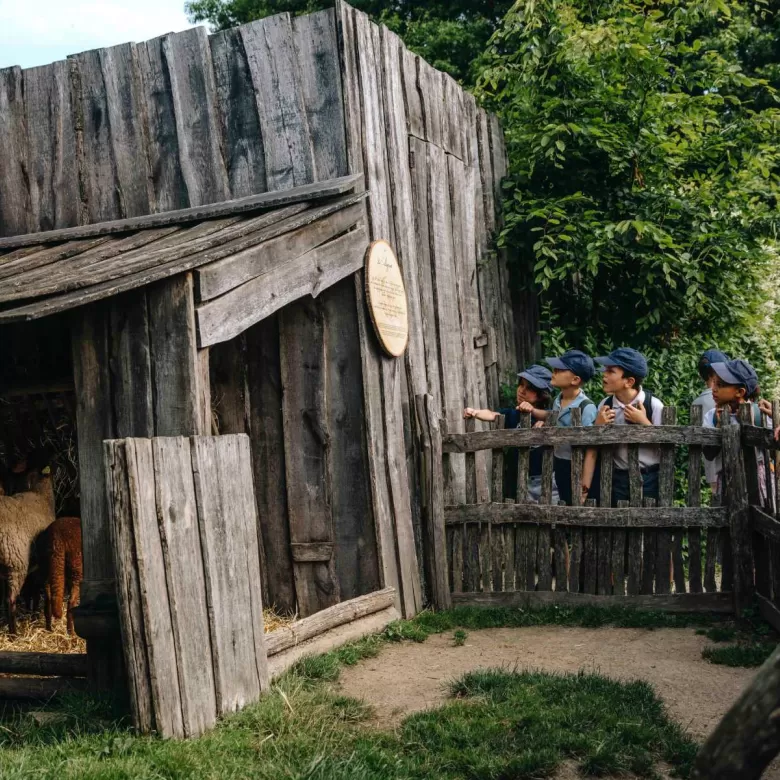 Enfants devant les animaux du Puy du Fou