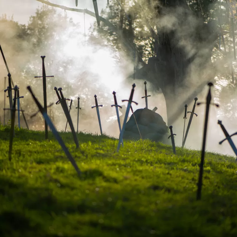 Exkalibur-Épée-plantée-dans-le-sol-arbre-roi-Arthur-Puy-du-Fou