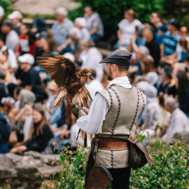 Fauconnier devant un public qui a privatisé le Puy du Fou