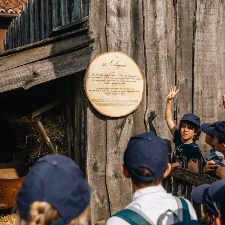 Enfant posant une question devant les animaux du Puy du Fou lors d'une sortie scolaire