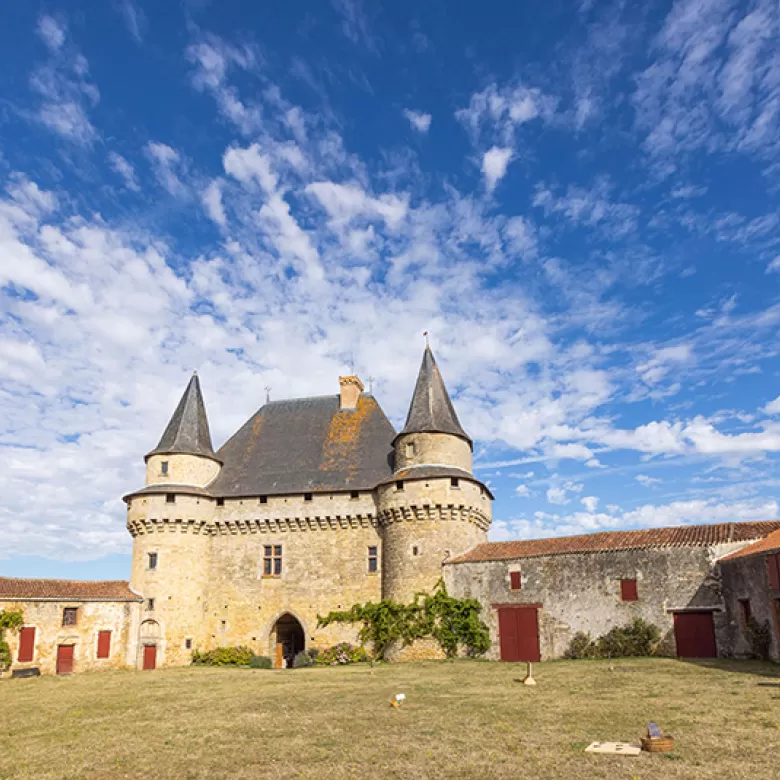 Château de Sigournais, un bâtiment d'architecture militaire sublime