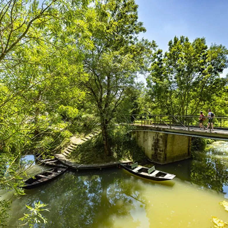 Le marais Poitevin, une visite à faire absolument en Vendée