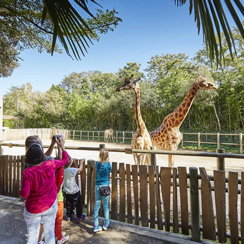 Le Zoo des Sables d'Olonne