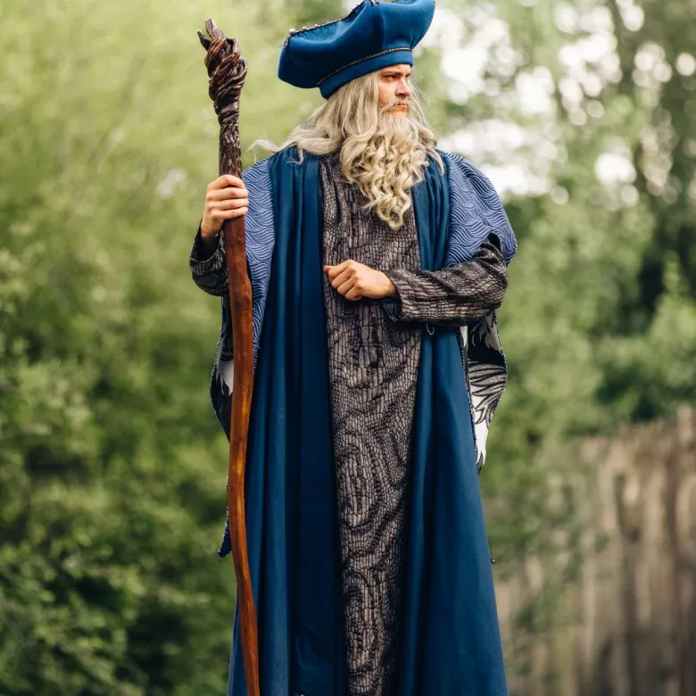 Merlin l'enchanteur avec sa canne dans la forêt