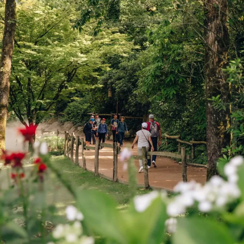 Visiteurs se promenant dans l'une des allées ombragées et fleuries du Puy du Fou
