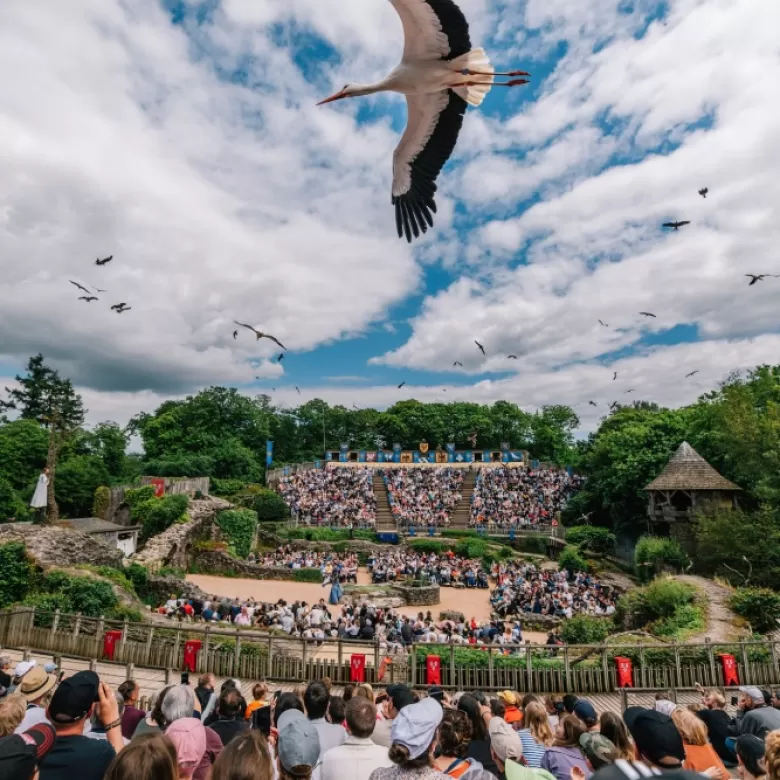 Le final dans le Bal des Oiseaux Fantômes
