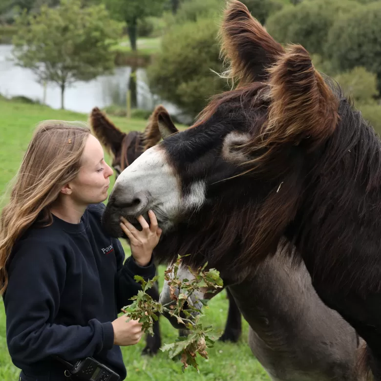 Soigneuse animalière du Puy du Fou avec un baudet du Poitou
