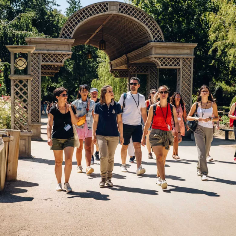 Élus CSE en journée découverte au Puy du Fou